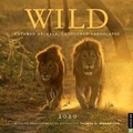 Cover: Wild 2020 Square Wall Calendar - Andrews McMeel Publishing