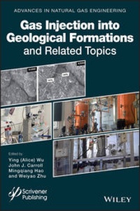 Enlarge image Cover: Gas Injection into Geological Formations and Related Topics - Wiley