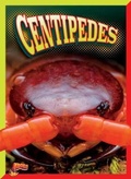 Cover: Centipedes - Bolt!