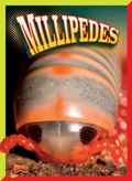 Cover: Millipedes - Bolt!