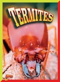 Cover: Termites - Bolt!