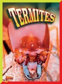 Enlarge image Cover: Termites - Bolt!