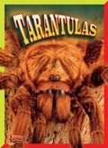 Cover: Tarantulas - Bolt!