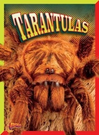 Enlarge image Cover: Tarantulas - Bolt!