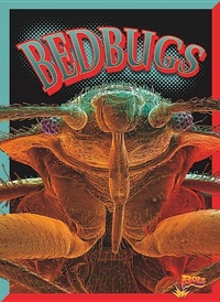 Enlarge image Cover: Bedbugs - Bolt!