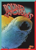 Cover: Roundworms - Bolt!