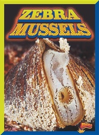 Enlarge image Cover: Zebra Mussels - Bolt!