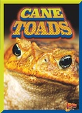Cover: Cane Toads - Bolt!