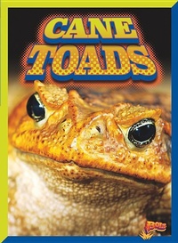 Enlarge image Cover: Cane Toads - Bolt!