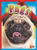Cover: Pugs - Bolt!