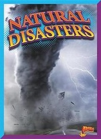Enlarge image Cover: Natural Disasters - Bolt!