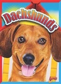 Cover: Dachshunds - Bolt!