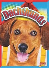 Enlarge image Cover: Dachshunds - Bolt!