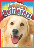 Cover: Golden Retrievers - Bolt!
