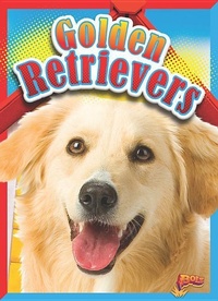 Enlarge image Cover: Golden Retrievers - Bolt!