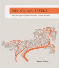 Abbildung von: Der Causa Effekt - Stadler, Bettina