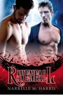 Cover: Ravenfall - Clan Destine Press
