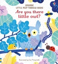 Cover: Are you there little Owl? - Usborne Publishing Ltd