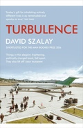 Cover: Turbulence - Vintage