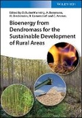 Cover: Bioenergy from Dendromass for the Sustainable Development of Rural Areas - Wiley-VCH