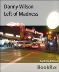Cover: Left of Madness - BookRix