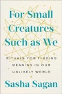Cover: For Small Creatures Such as We - G P Putnam's Sons