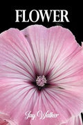 Cover: Flower - Stillwater River Publications