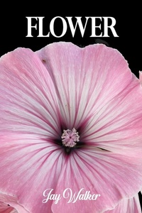Enlarge image Cover: Flower - Stillwater River Publications