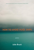 Cover: How to Avoid Huge Ships - Brick Books