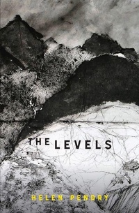 Enlarge image Cover: The Levels - Parthian Books
