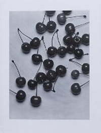 Enlarge image Cover: Stefan Burger - Mousse Publishing