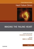 Cover: Imaging the Failing Heart, An Issue of Heart Failure Clinics - Elsevier
