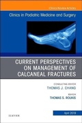 Cover: Current Perspectives on Management of Calcaneal Fractures, An Issue of Clinics in Podiatric Medicine and Surgery: Volume 36-2 - Elsevier