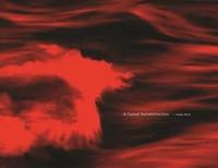 Enlarge image Cover: A Casual Reconstruction - Robert Langen Art Gallery