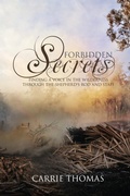 Cover: Forbidden Secrets - Jabez Publishing House