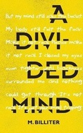 Cover: A Divided Mind - Tangled Tree Publishing