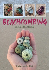Abbildung von: Beachcombing in South Africa - Struik Nature