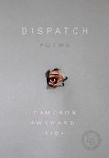 Cover: Dispatch - Persea Books Inc