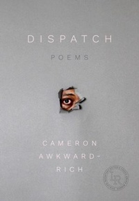 Enlarge image Cover: Dispatch - Persea Books Inc