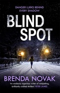 Cover: Blind Spot - Headline Eternal