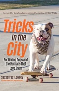 Cover: Tricks in the City - Mango Media