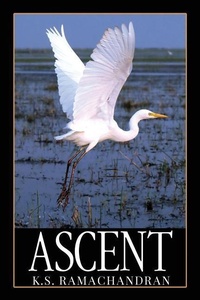 Abbildung von: Ascent - Notion Press, Inc.