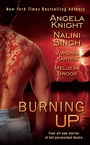 Cover: Burning Up - Berkley