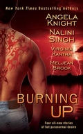 Cover: Burning Up - Berkley