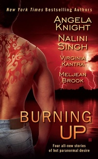 Enlarge image Cover: Burning Up - Berkley