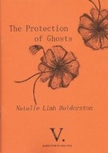 Cover: The Protection of Ghosts - V. Press