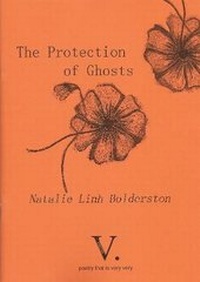 Enlarge image Cover: The Protection of Ghosts - V. Press