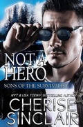 Cover: Not a Hero - Vanscoy Publishing Group