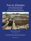 Cover: 'Ain El-Gedida - New York University Press