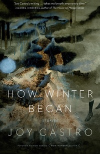 Enlarge image Cover: How Winter Began - University of Nebraska Press